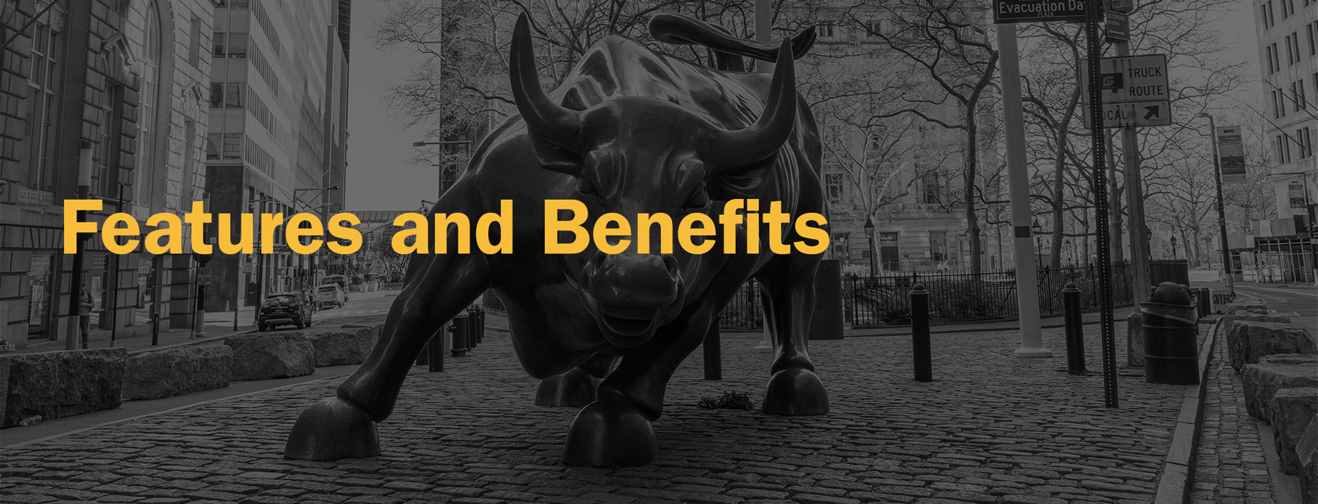 Automated, Financial Publishing